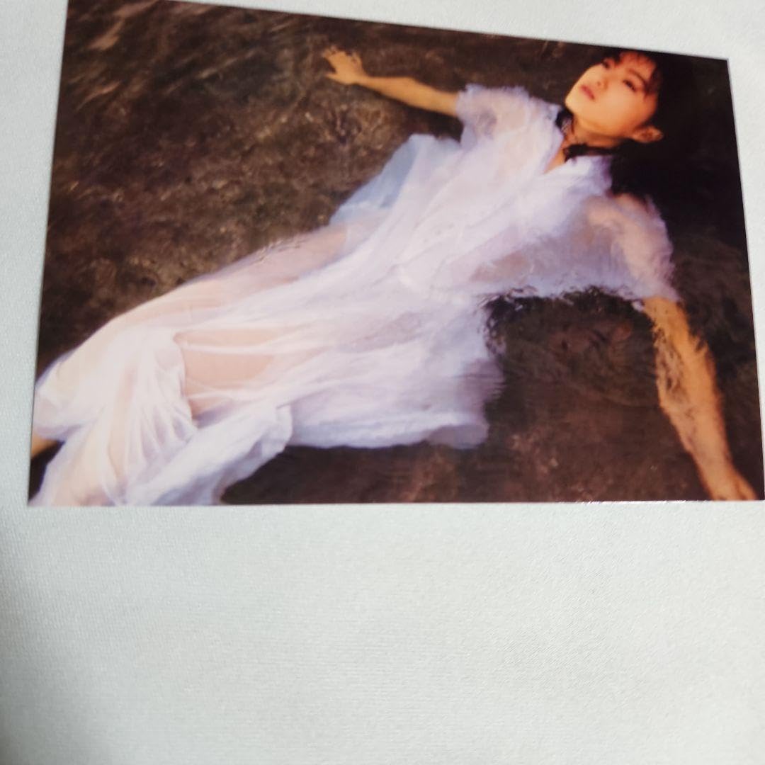 Amazon.co.jp: 28枚、中L判写真のアイドル歌手、酒井法子さん : おもちゃ